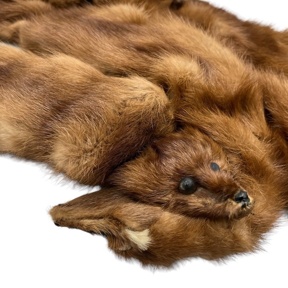 Vtg Frost Bros 4 Pelts Full Body Fur Taxidermy Collar Wrap Scarf Stole Shawl - Picture 6 of 9